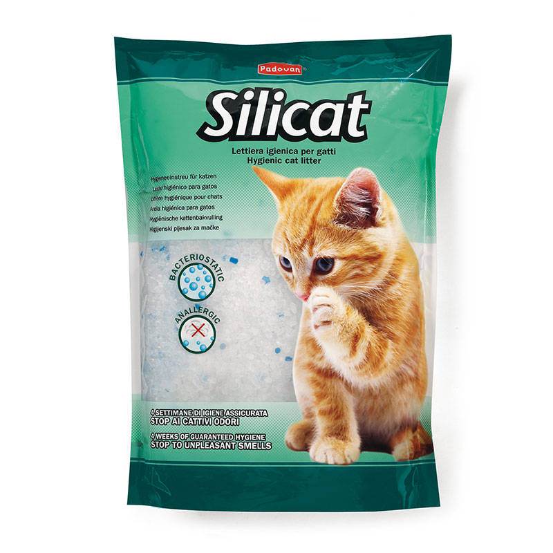 Silicat фото 1