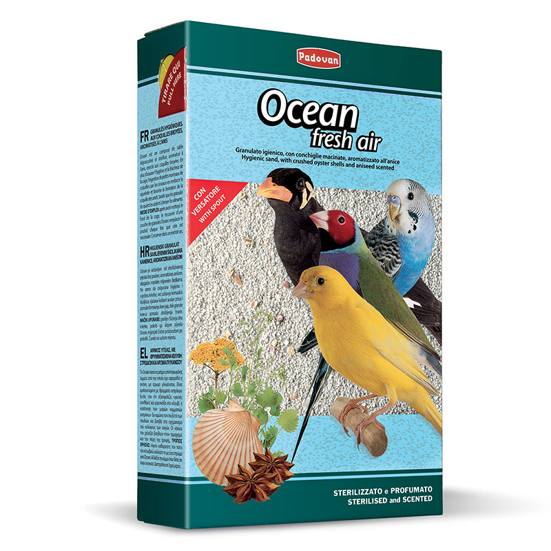 Ocean fresh air