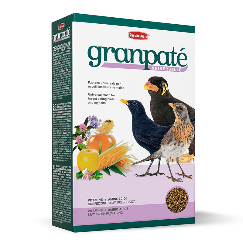 Granpatee Universelle