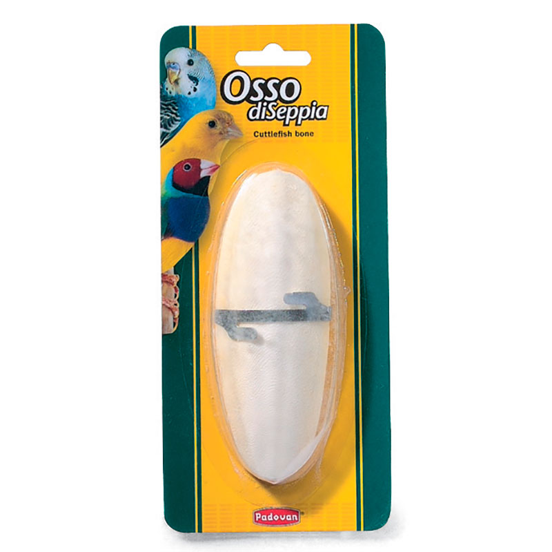 Osso di seppia