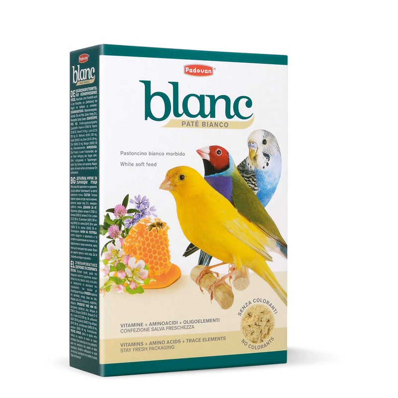 Blanc patee