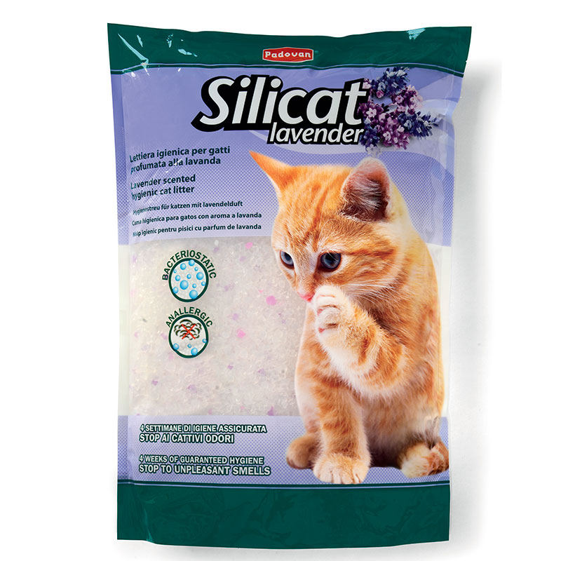 Silicat Lavender фото 1