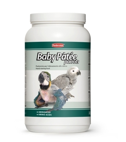 BABY Patee parrots