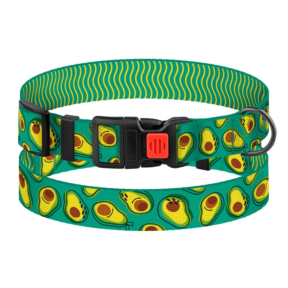 Нашийник для Собак BronzeDog Urban Fruits Нейлоновий з Пластиковою Пряжкою Авокадо фото 1