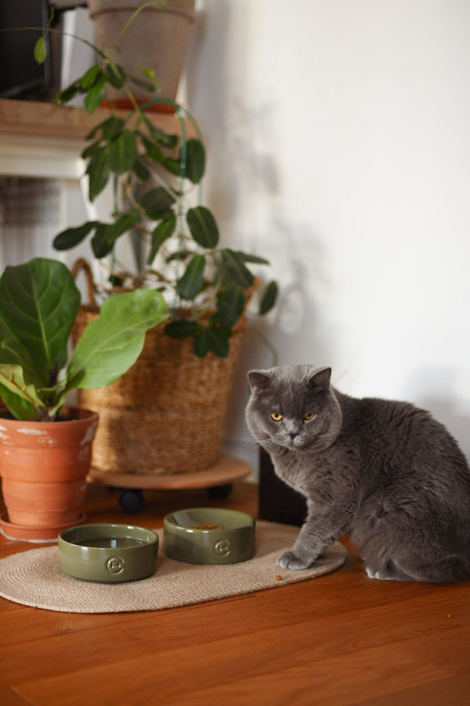 Керамічна миска із сферичним дном Bowl Olive фото 1