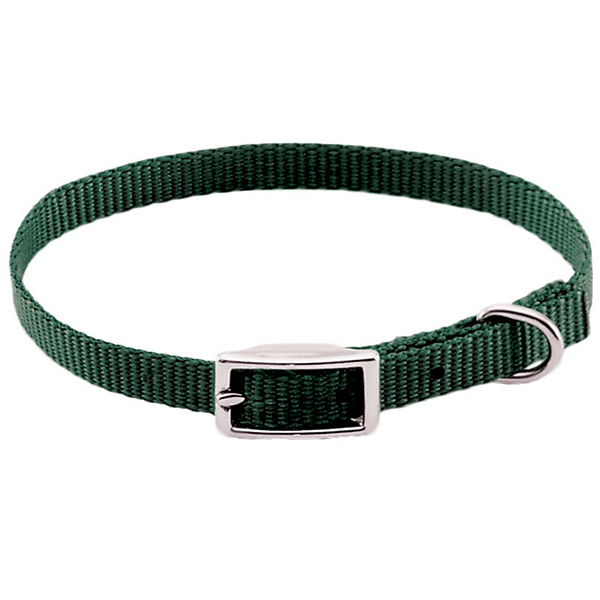 Coastal Nylon Web КОСТАЛ НАЙЛОН ВЕБ нашийник для собак, 1х25см , Хакі см фото 1