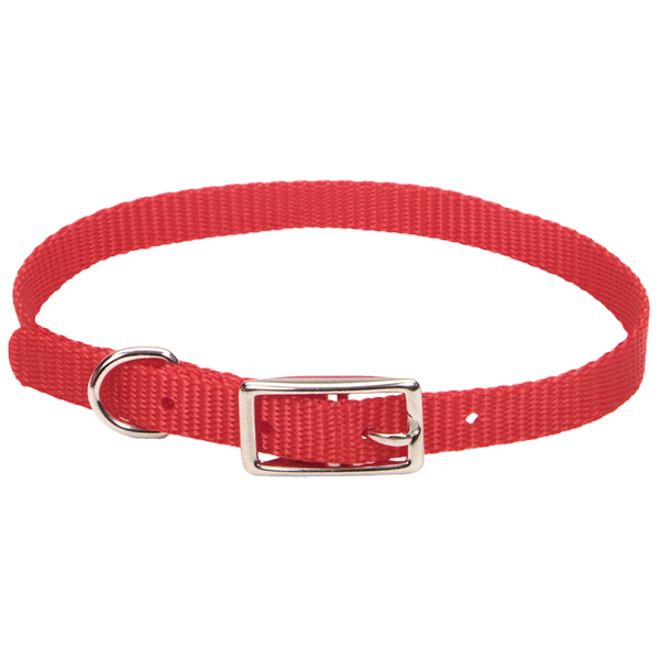 Coastal Nylon Web КОСТАЛ НАЙЛОН ВЕБ нашийник для собак,1х30см , Червоний см фото 1