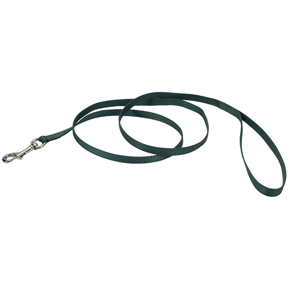 Coastal Nylon Leash КОСТАЛ НАЙЛОН повідець для собак, 1смХ1.2м , Хакі см фото 1