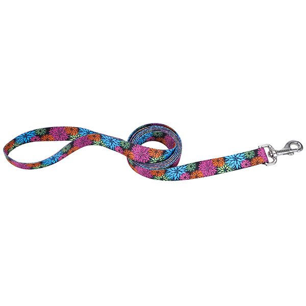 Coastal Pet Attire Styles КОСТАЛ СТАЙЛС повідець для собак, 1смХ1.2м , Дикі квіти см фото 1