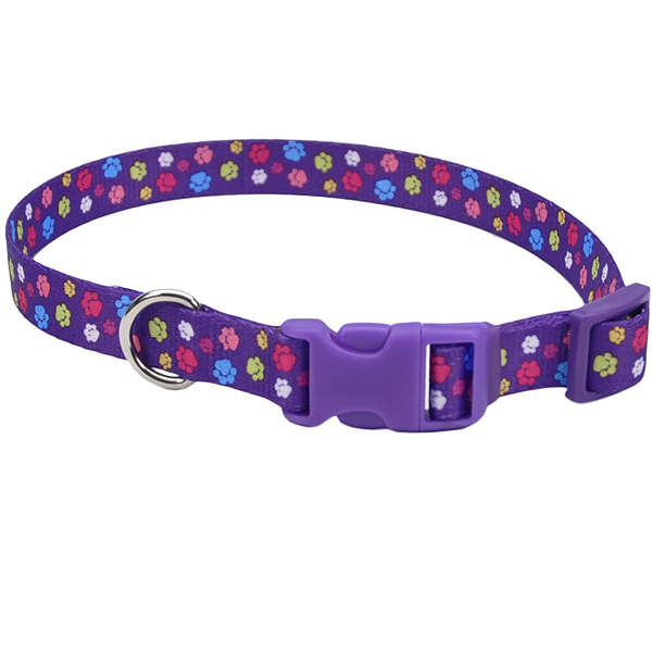 Coastal Pet Attire Styles КОСТАЛ СТАЙЛС нашийник для собак, 2.5х46-66см , Лапки см., 2,5 см х 46 - 66 см см фото 1