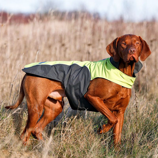 Flamingo Touchdog Coat ФЛАМІНГО ПЛАЩ попона одяг для собак , 66 см х 89 см х 48 см см., XXXL см фото 1