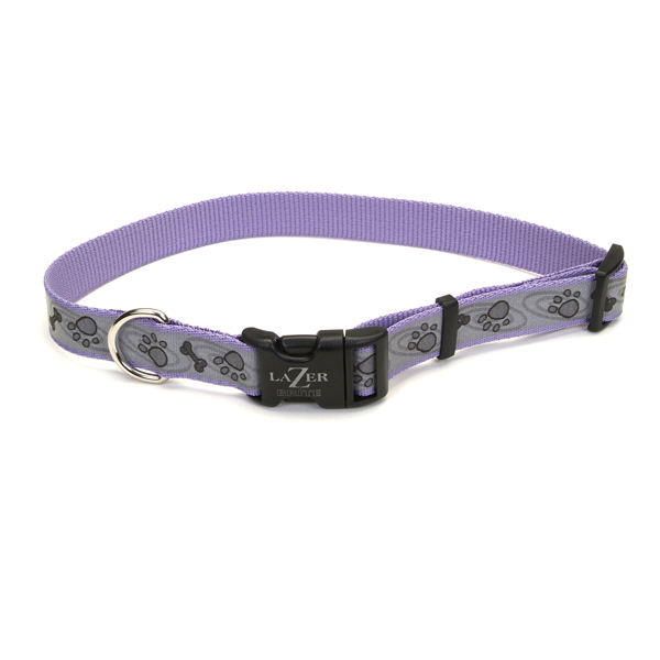 Coastal Lazer Brite Reflective Collar КОСТАЛ ЛАЗЕР БРАЙТ світловідбивний нашийник для собак, 1.6х30-46см , Лапа кістка фіолетовий см., 1,6 см х 30 - 46 см см фото 1