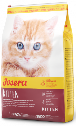 Kitten 8x фото 1