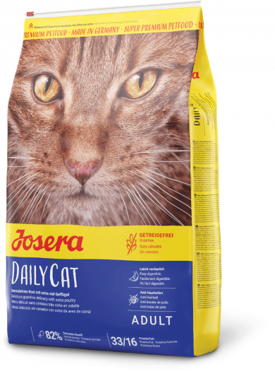DailyCat