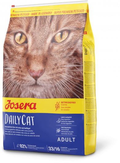 DailyCat 6x