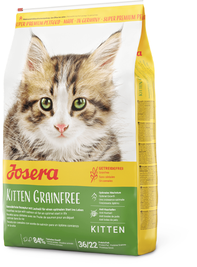 Kitten grainfree фото 1
