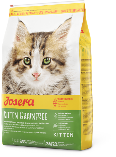 Kitten grainfree 8x фото 1