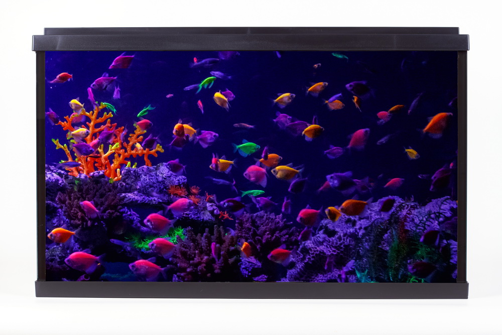 АКВАРIУМ PalaceGlow WPG 40 515х260х320 , фiльтр, свет LED бiлий