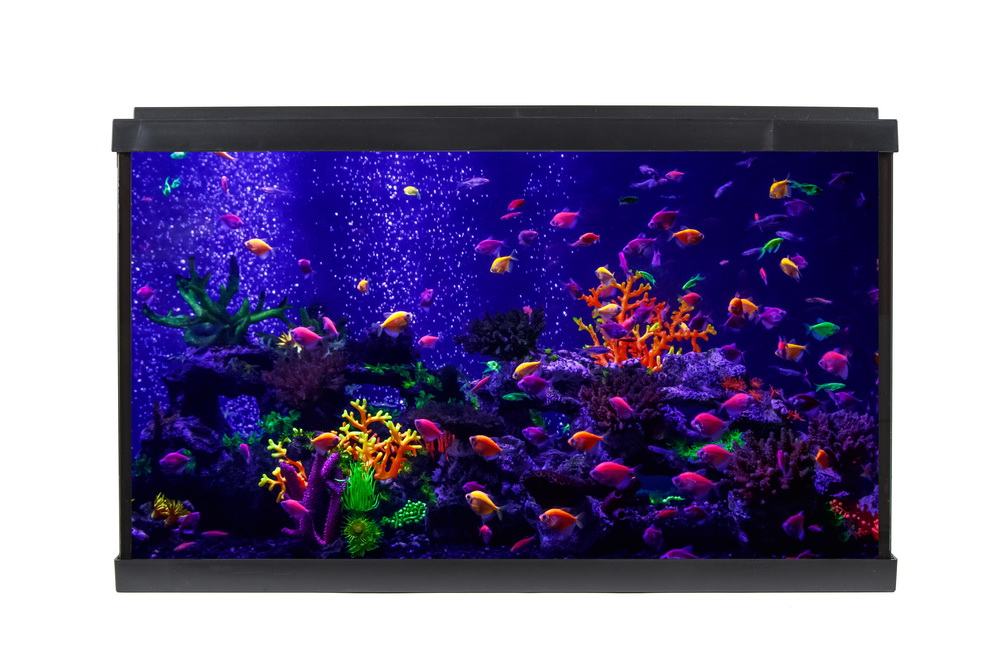 АКВАРIУМ PalaceGlow WPG 60 593х308х366 , фiльтр, свет LED 10Wбiлий