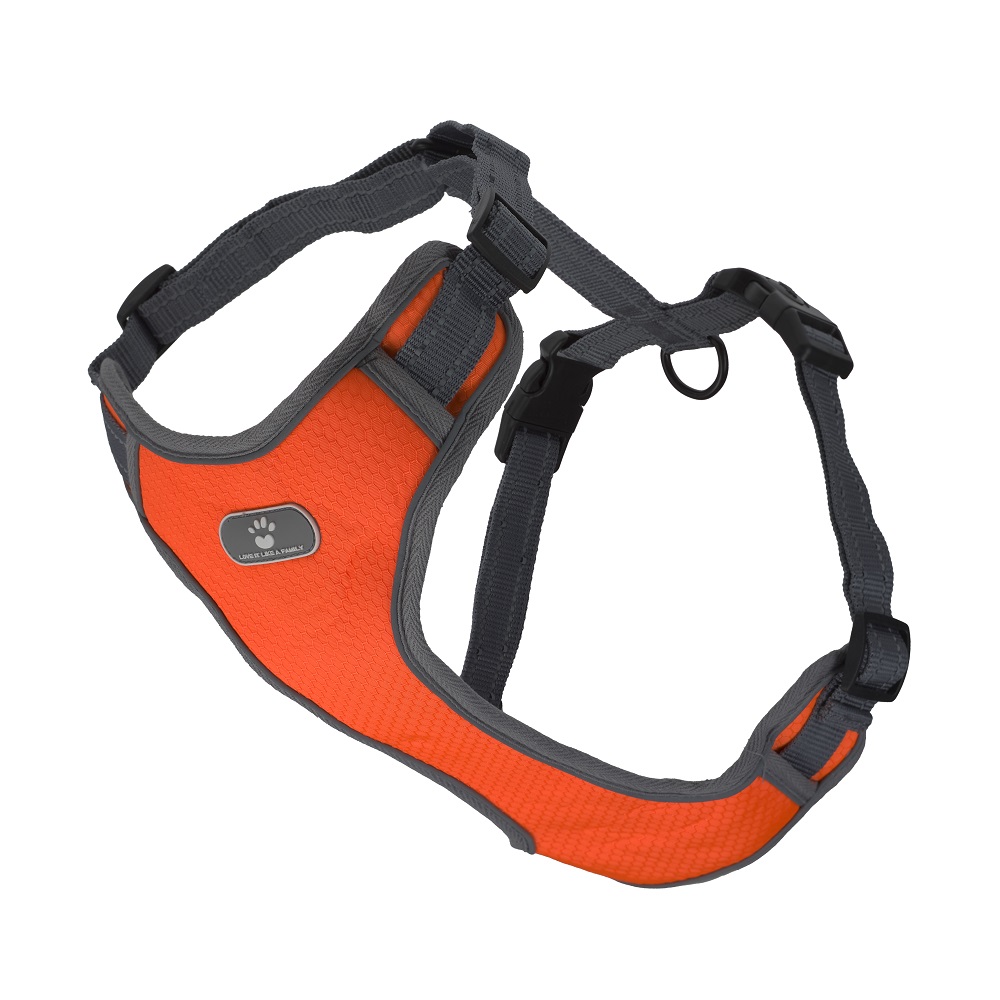 AnimAll шлея HL-8005-1 orange XL фото 1