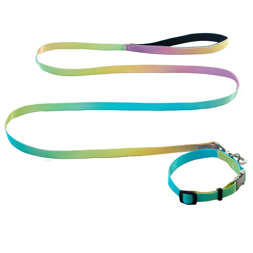 AnimAll нашийник+повідець, panton 2, 25 420-520 1800 мм