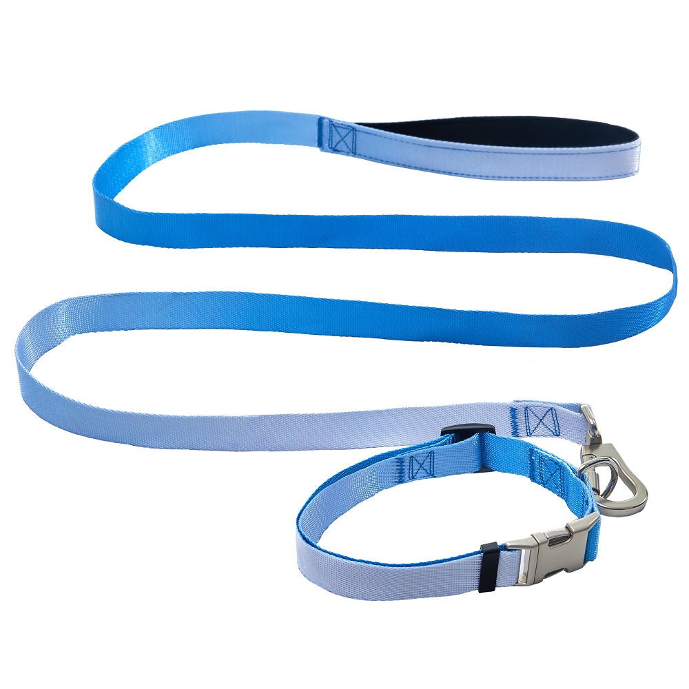AnimAll нашийник+повідець, panton 3, 25 420-520 1800 мм